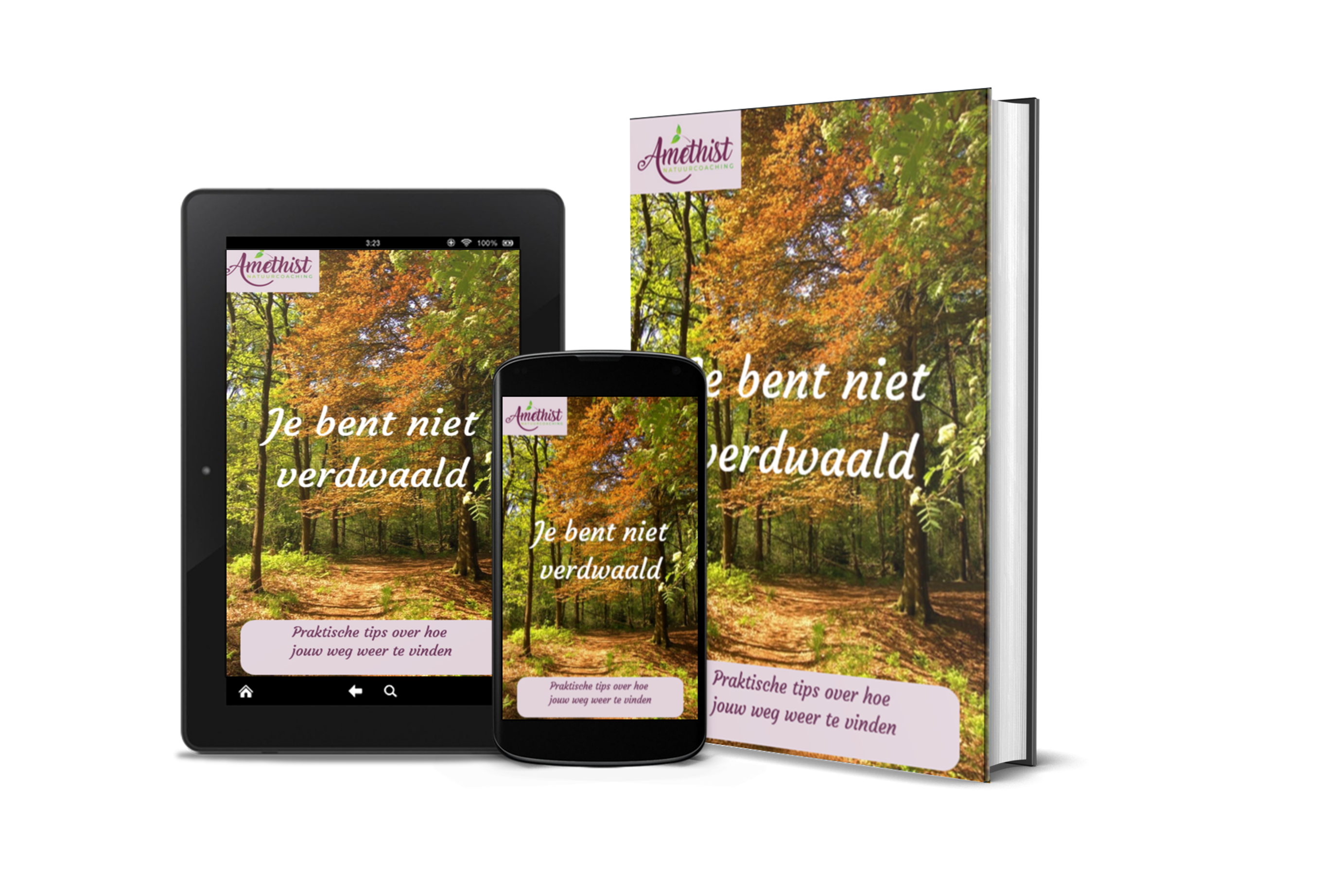 Gratis e-book: Je bent niet verdwaald – inspiratie en inzicht voor wie weer richting zoekt