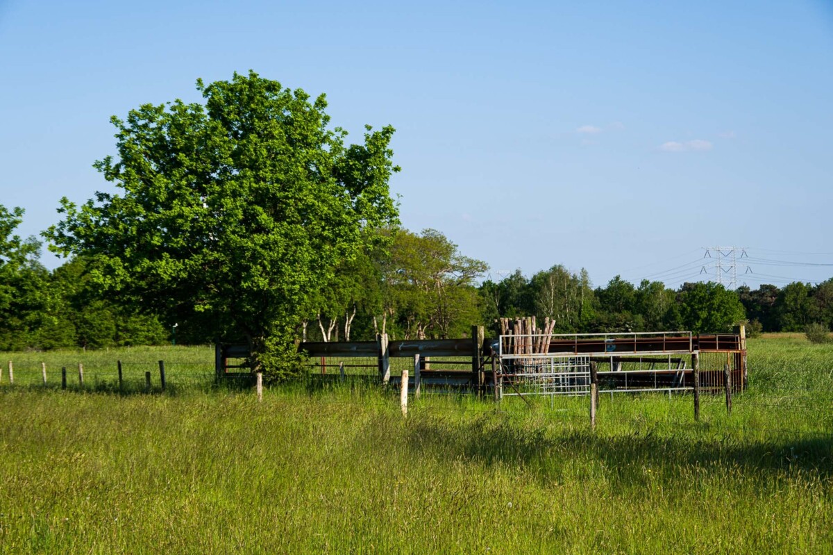 Amethist_Natuurcoaching_Huis_ter_Heide_11.jpg