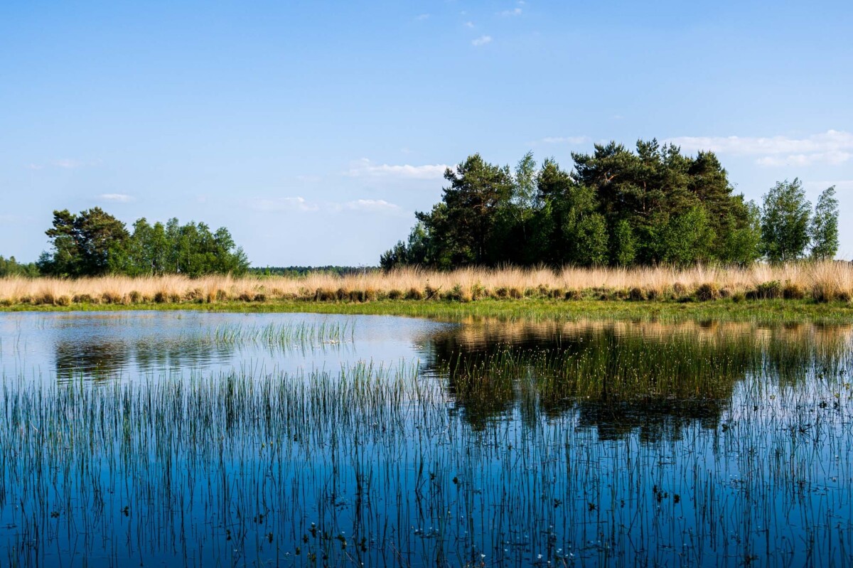 Amethist_Natuurcoaching_Huis_ter_Heide_8.jpg