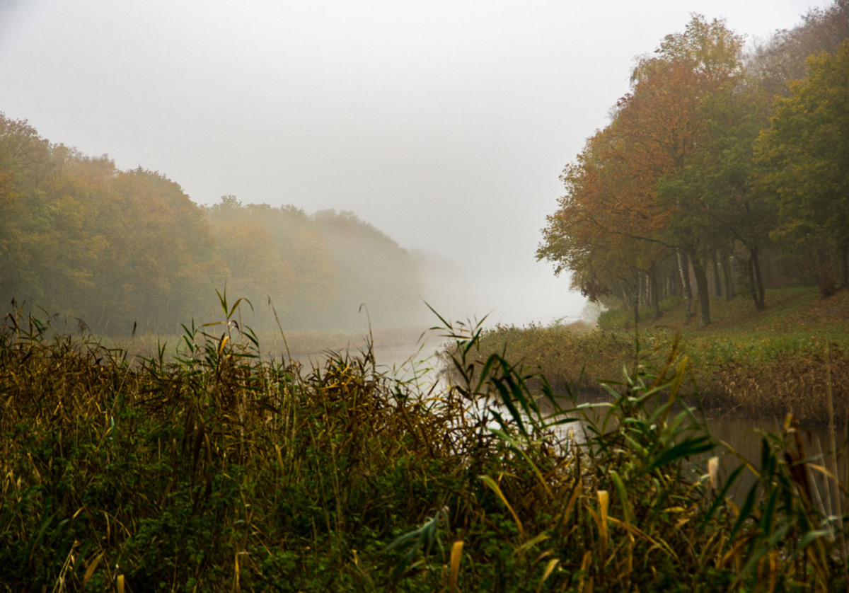 Amethist_Natuurcoaching_Vughtse_Heide_5.jpg