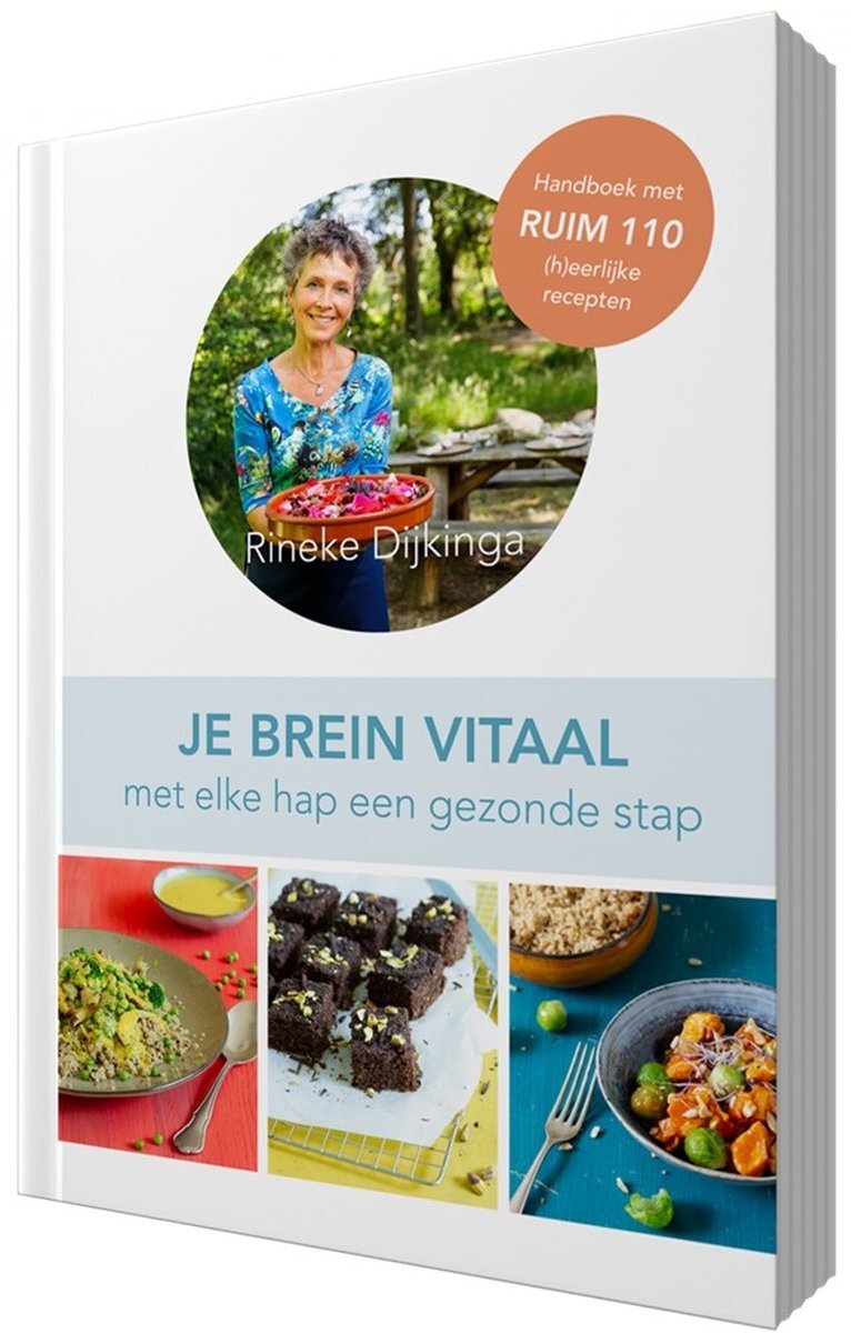 Je brein vitaal - Rineke Dijkinga