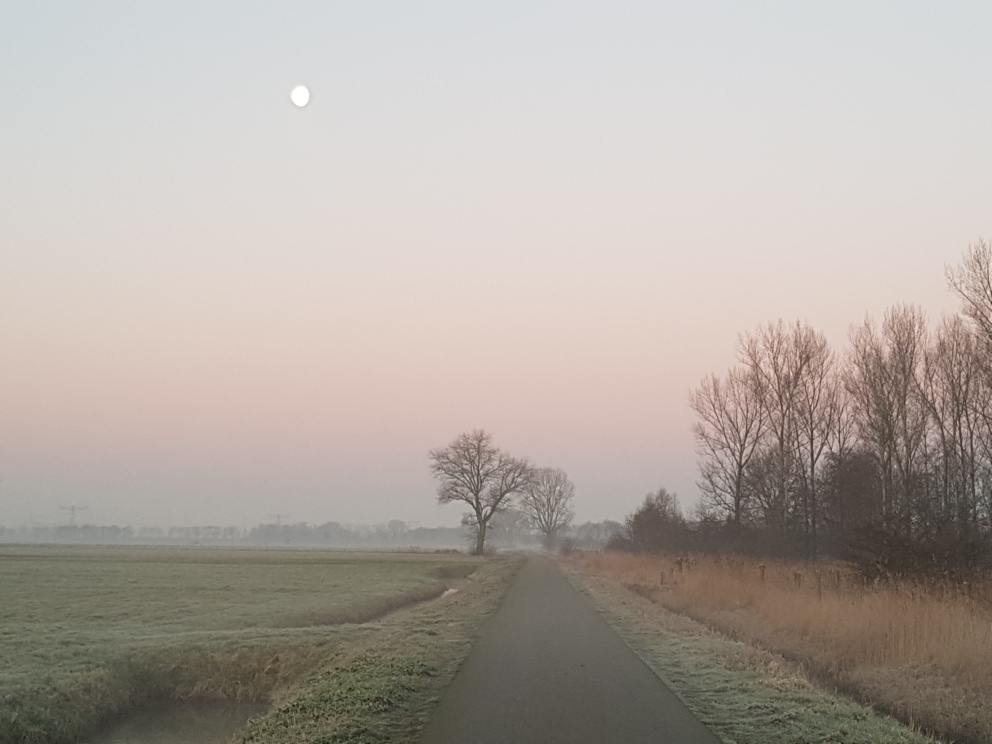 Leeg polderweggetje met kale bomen in de winterochtend, bevroren gras en een bleke maan aan de lucht – symbool voor stilte en rouw.