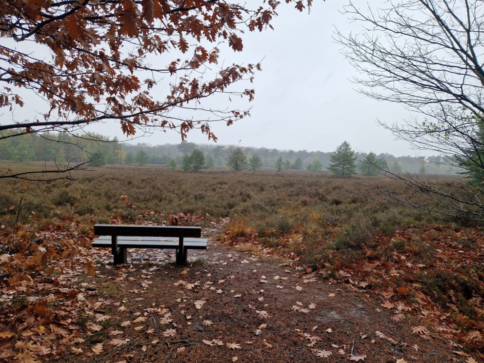 Bankje met uitzicht over de natuur, een plek om letterlijk afstand te nemen en opnieuw perspectief te vinden.