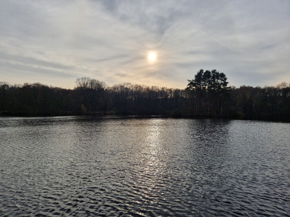 Honderdbunderbos-4.jpg Honderdbunderbos-4.jpg