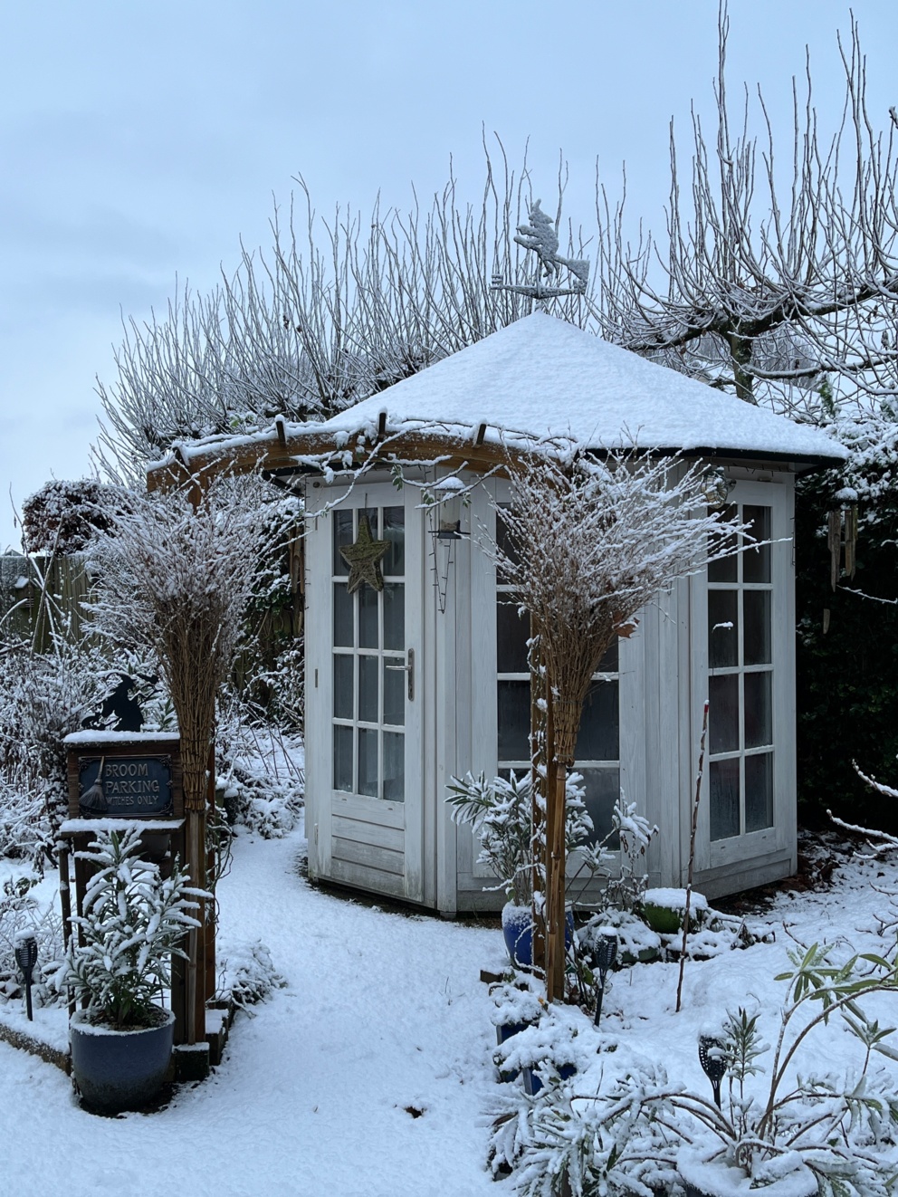 Winterse tuin met sneeuw – verstillen in plaats van goede voornemens in januari
