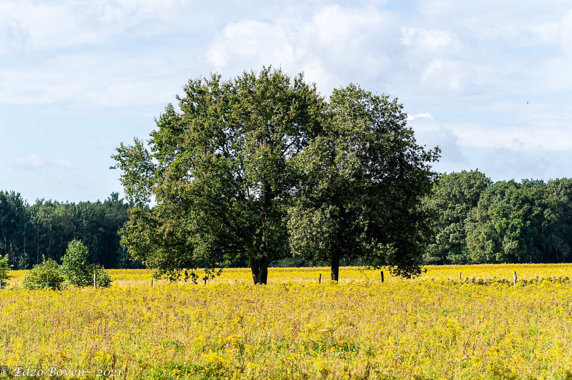 Stiltewandeling en overige diensten